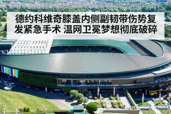 德约科维奇膝盖内侧副韧带伤势复发紧急手术 温网卫冕梦想彻底破碎